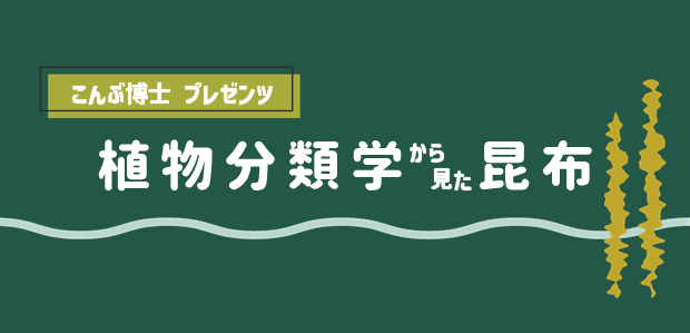 植物分類学から見た昆布